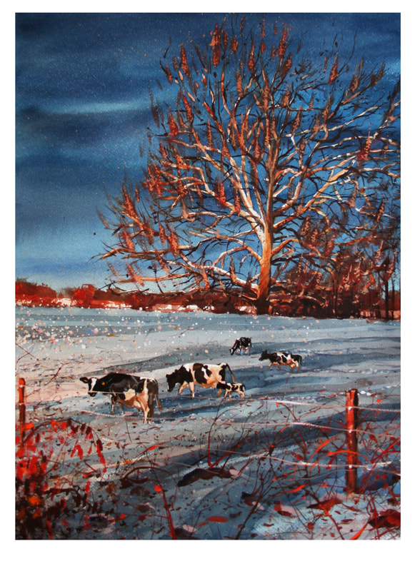 Watercolor painting of black and white cows in snow covered field
